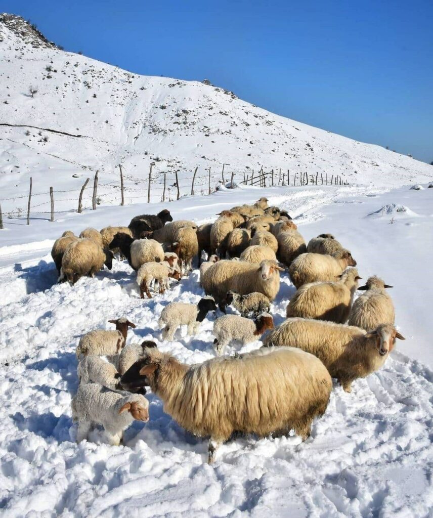 لذت زندگی روستایی در دل ابرها