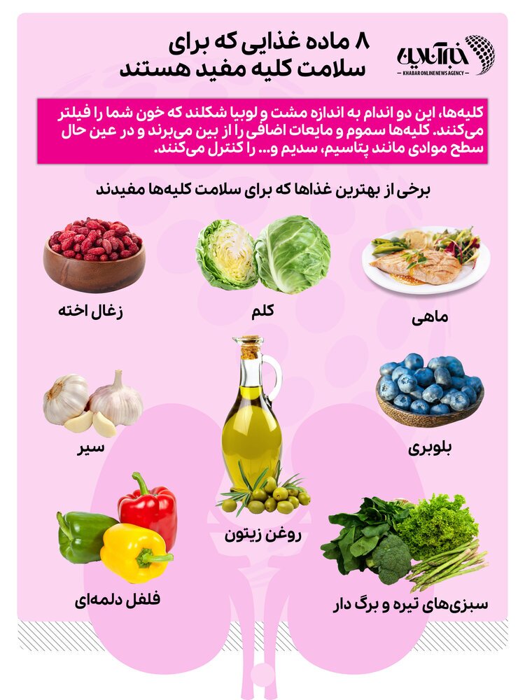 8 ماده غذایی برای سلامت کلیه‌