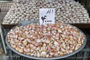 زندگی در بازار روز بندر انزلی12