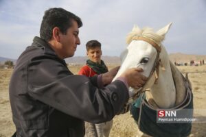 هفته دوم کورس اسبدوانی پاییزه بجنورد 12