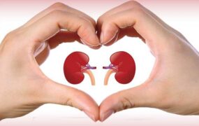 8 ماده غذایی برای سلامت کلیه‌