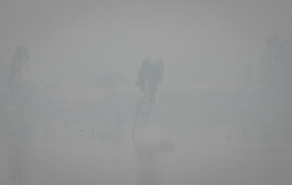 آلودگی شدید هوا در شهر دهلی هند