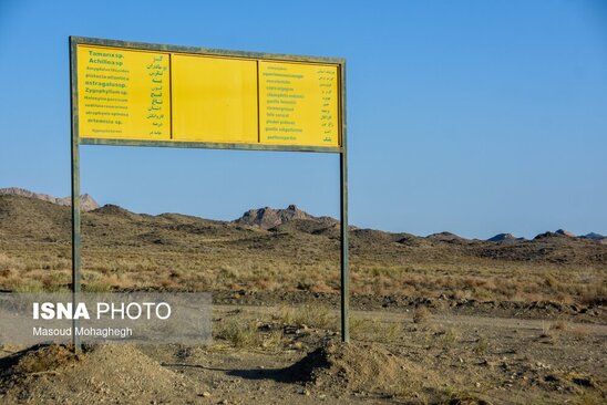 پارک ملی توران، زیستگاه یوزپلنگ آسیایی12