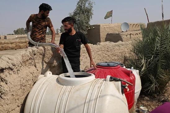 مشکل تامین آب و آذوقه برای احشام عراقی به دلیل خشکسالی شدید