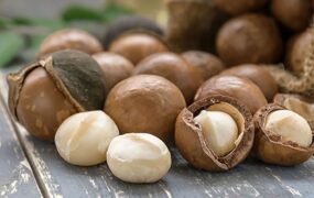 فواید آجیل ماکادمیا برای سلامتی