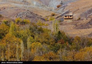 تصاویری از طبیعت پاییزی روستای نایه - قم