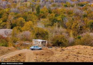 تصاویری از طبیعت پاییزی روستای نایه - قم