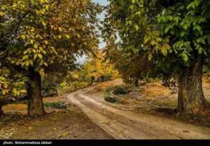 تصاویری از طبیعت پاییزی روستای نایه - قم