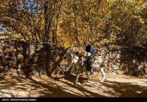 تصاویری از طبیعت پاییزی روستای نایه - قم