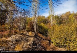 تصاویری از طبیعت پاییزی روستای نایه - قم