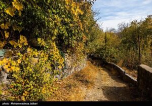 تصاویری از طبیعت پاییزی روستای نایه - قم