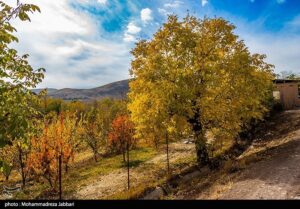 تصاویری از طبیعت پاییزی روستای نایه - قم