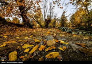 تصاویری از طبیعت پاییزی روستای نایه - قم