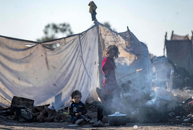 دیدنی های امروز؛ از کلونی پنگوئن ها تا تیراندازی پاریس اردوگاه آوارگان جنگی در رقه سوریه