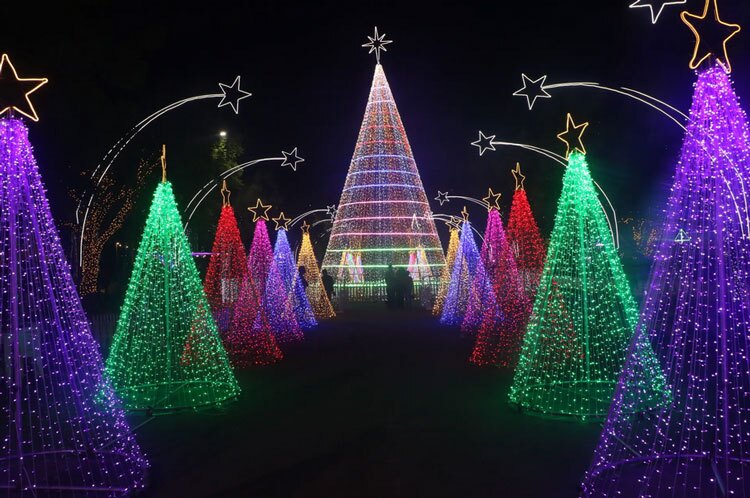 دیدنی های امروز؛ از کلونی پنگوئن ها تا تیراندازی پاریس تزیینات کریسمسی شهر "ابوجا"