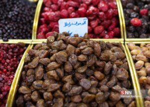 یلدا، بلند ترین شب سال 16