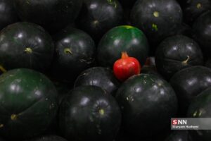 یلدا، بلند ترین شب سال 36