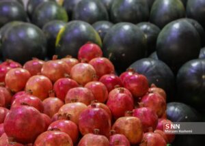 یلدا، بلند ترین شب سال 29