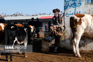 بازار مال فروشان کوچصفهان11