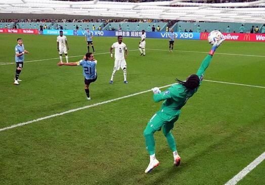 روز سیزدهم بازی های جام جهانی فوتبال 2022/ رویترز