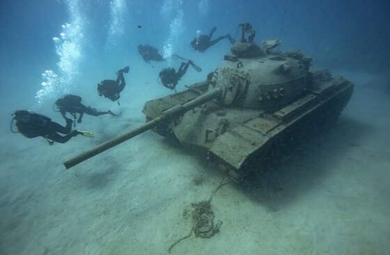 دیدنی های امروز؛ از تلف شدن فوک های خزر تا تشییع رییس جمهوری سابق چین غواصی در ساحل آنتالیا ترکیه