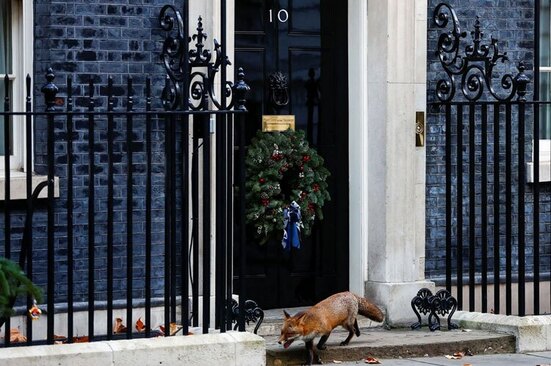 دیدنی های امروز؛ از تلف شدن فوک های خزر تا تشییع رییس جمهوری سابق چین عبور یک روباه از مقابل مقر نخست وزیری انگلیس در شهر لندن