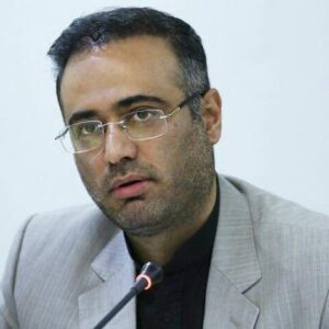 امیر دبیری مهر- بازتاب