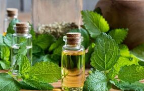 تاثیر عصاره بادرنجبویه در کنترل بیماری آلزایمر
