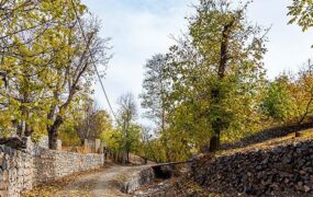 تصاویری از طبیعت پاییزی روستای نایه - قم