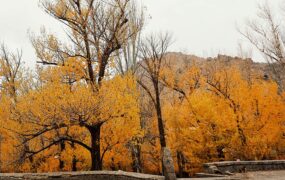 تصاویری از طبیعت پاییزی گنج‌نامه