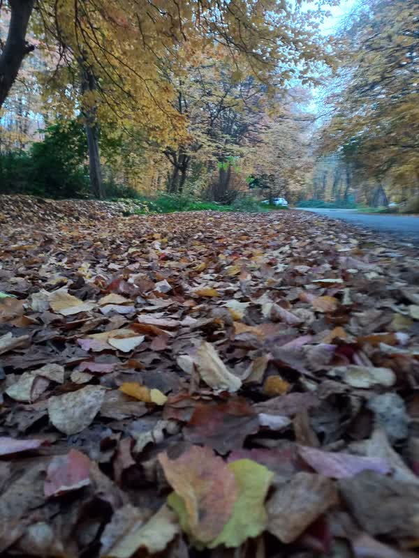 جنگل قرق- زمستان 1401 (12)