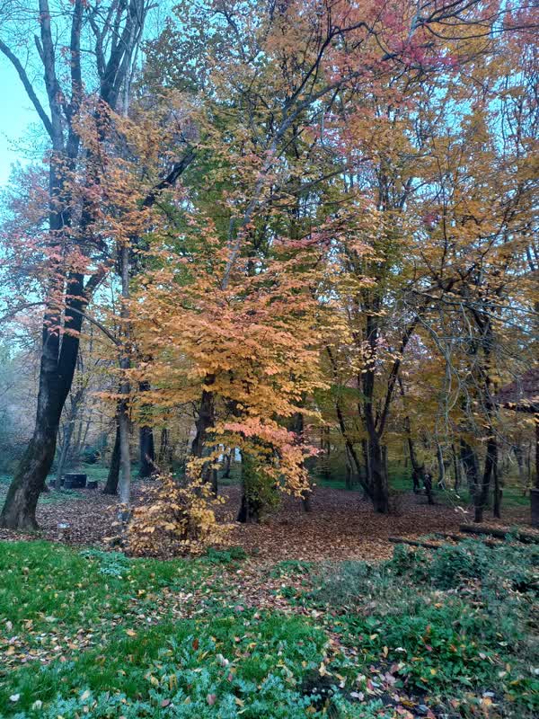 جنگل قرق- زمستان 1401 (24)