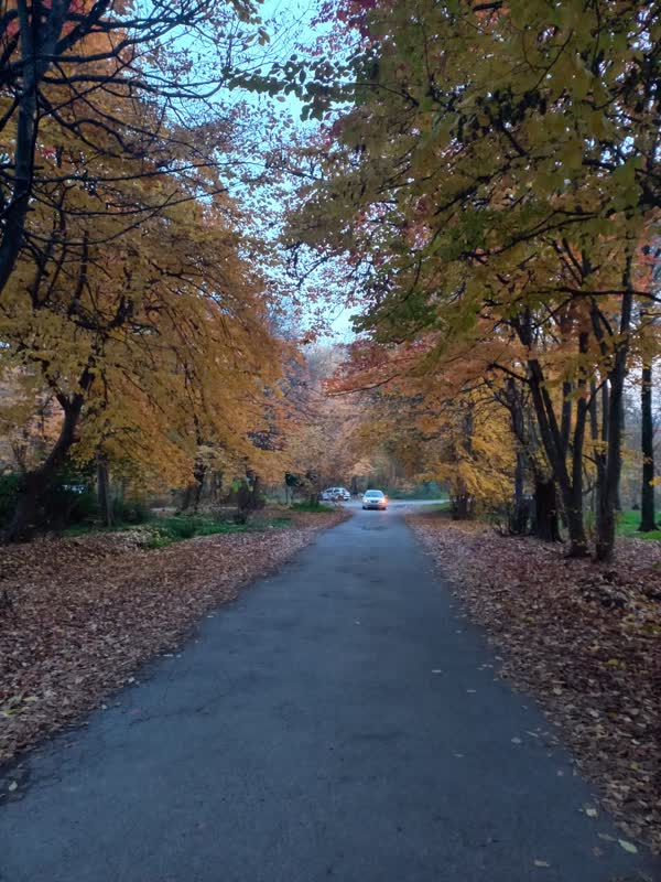 جنگل قرق- زمستان 1401 (26)