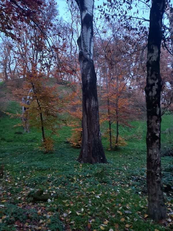 جنگل قرق- زمستان 1401 (27)