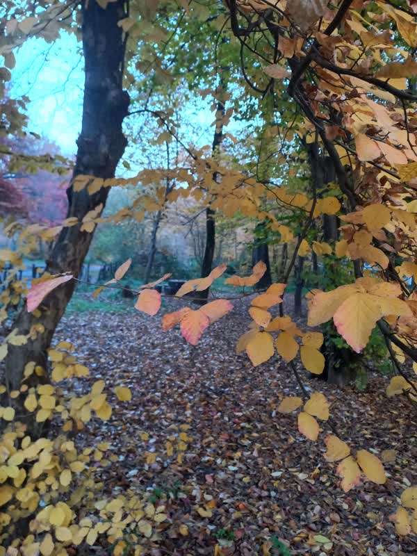 جنگل قرق- زمستان 1401 (31)