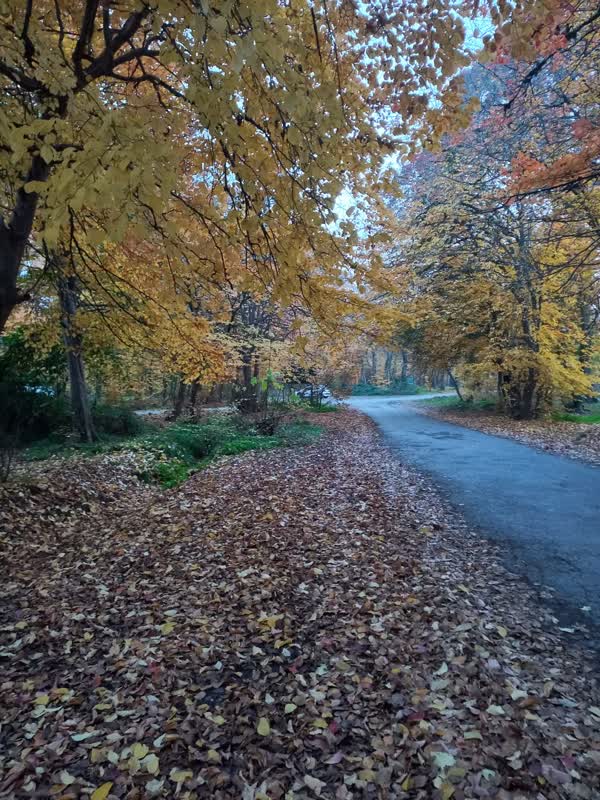 جنگل قرق- زمستان 1401 (34)