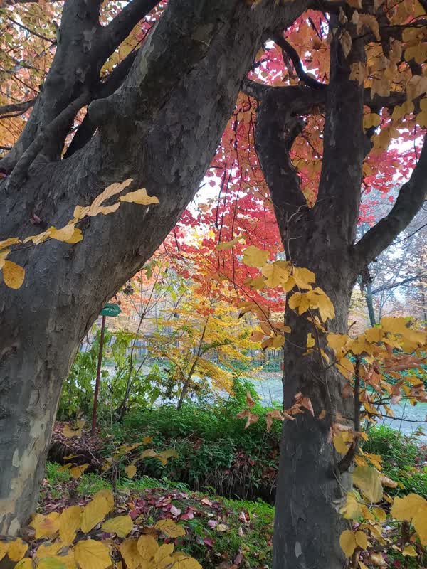 جنگل قرق- زمستان 1401 (36)