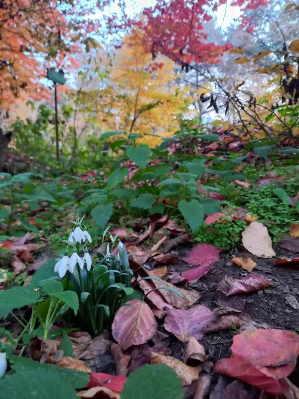 جنگل قرق- زمستان 1401 (37)