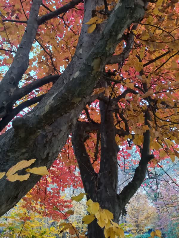 جنگل قرق- زمستان 1401 (40)