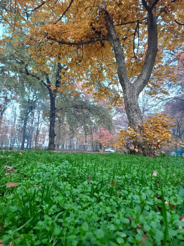 جنگل قرق- زمستان 1401 (41)