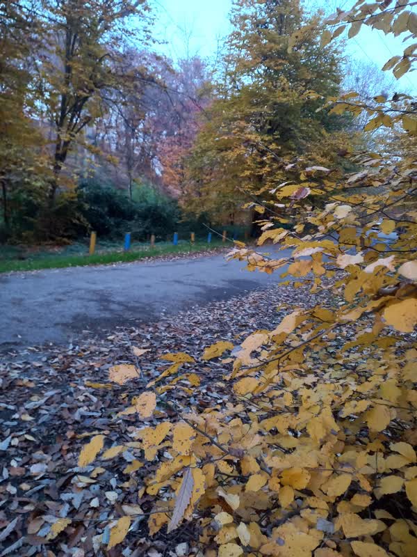 جنگل قرق- زمستان 1401 (42)