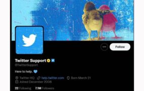توییترBlue for Business شرکت‌ها و کسب‌و‌کارها