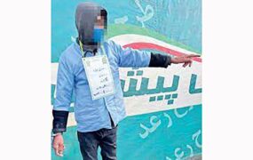 سرقت ازخودرو در 3 ثانیه با چوب‌بستنی