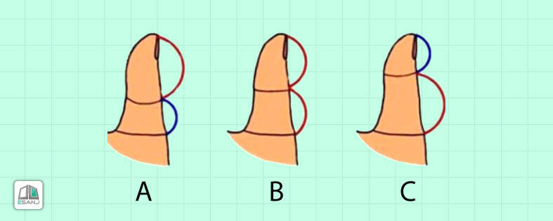 شخصیت شناسی