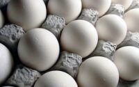 قیمت تخم مرغ