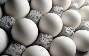 قیمت تخم مرغ