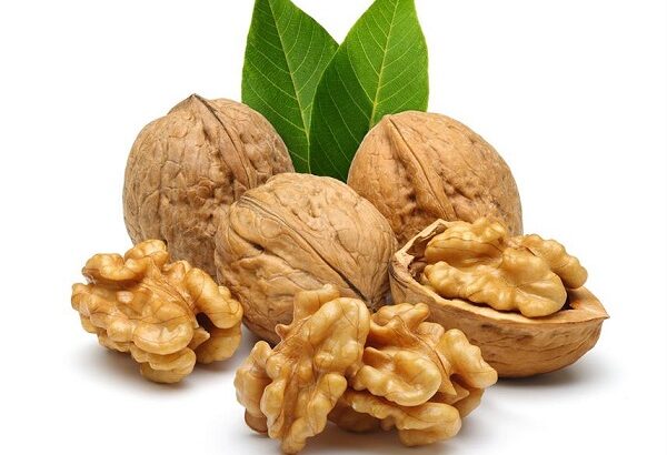 مغز گردو