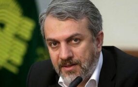 کارت زرد مجلس برای فاطمی‌امین