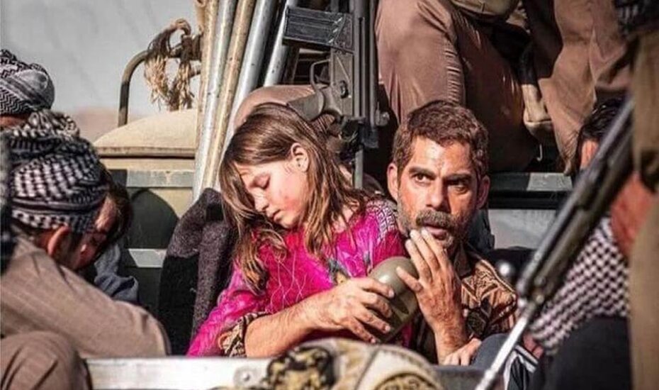 کپی‌کاری درخت گردو روزنامه‌نگار