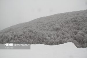 بارش برف در گردنه حیران آستارا